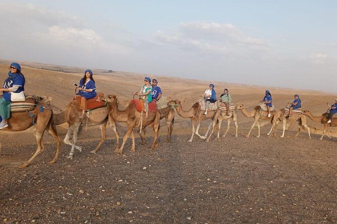 Atlas Mountains Day Trip From Marrakech - The Value Proposition