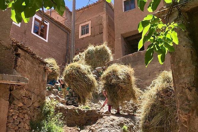 Atlas Mountains Day Trip with Camel Ride from Marrakech including lunch - Practical Details & What to Expect