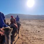 Atlas Mountains Tour from Marrakech Morocco - Who This Tour Is Best For