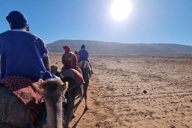 Atlas Mountains Tour from Marrakech Morocco - Who This Tour Is Best For