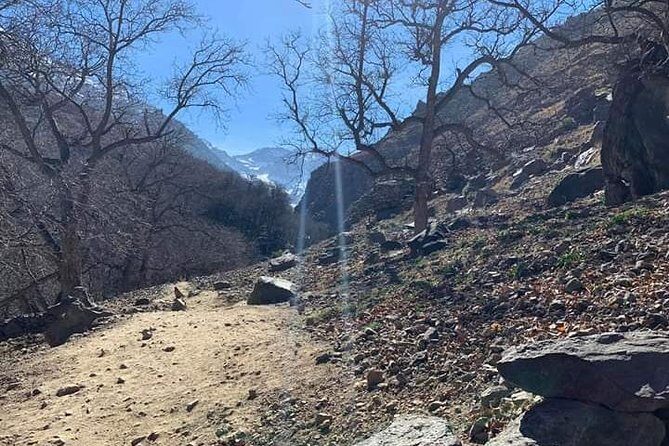 Atlas Mountains, Waterfalls Day Hike & Trek From Marrakech - Who Will Love This Tour?