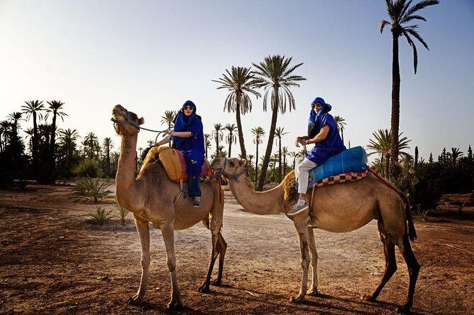 ATV Quad biking in Marrakech desert palmgrove - Final Thoughts