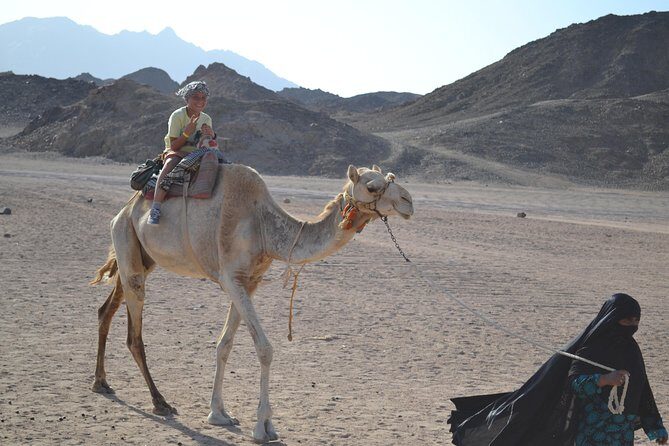 ATV Quad Safari Tour & Camel Ride With Transfer - Marsa Alam - What Makes This Tour Stand Out?