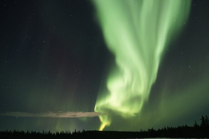Aurora Hunting Photo Tour from Rovaniemi with Pickup - Value and Cost Analysis