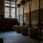 Auschwitz-Birkenau: Skip-the-Line Entry and Guided Tour - Who Will Love This Tour?