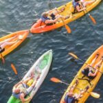 Austin: Single or Double Kayak Rental - Practical Details and Tips for Your Kayaking Adventure