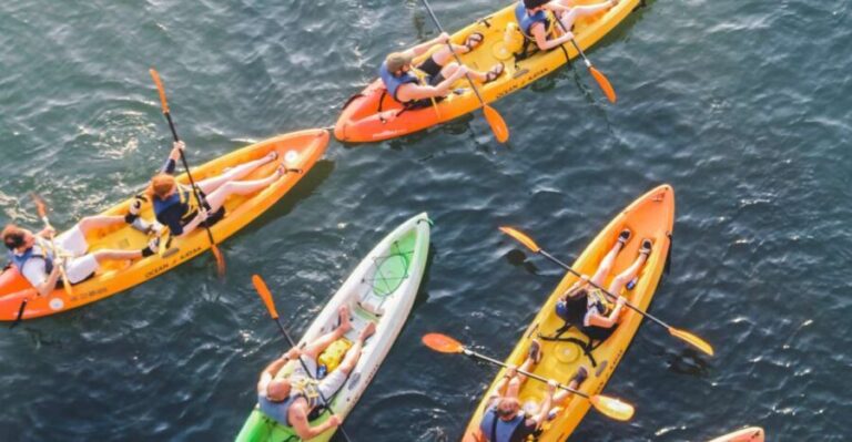 Austin: Single or Double Kayak Rental - Practical Details and Tips for Your Kayaking Adventure