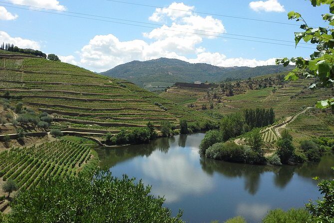 Authentic Douro Valley - small-Group Tour (Max 7) - FAQ