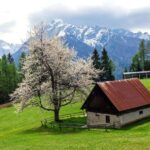Authentic Slovenia: A Mystery Travel Day Tour - An Ever-Changing Itinerary