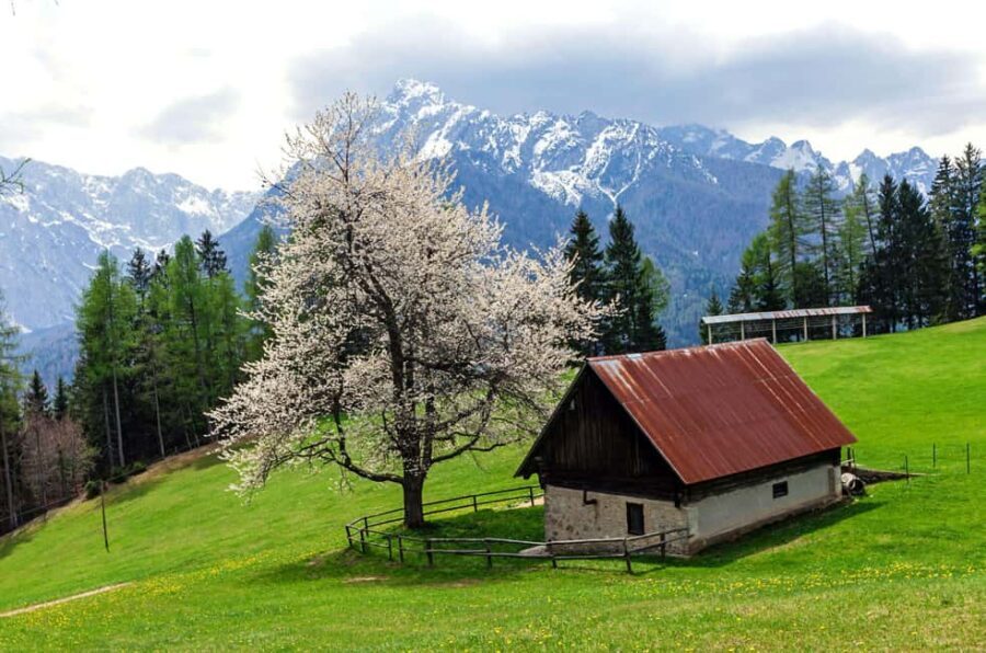 Authentic Slovenia: A Mystery Travel Day Tour - An Ever-Changing Itinerary