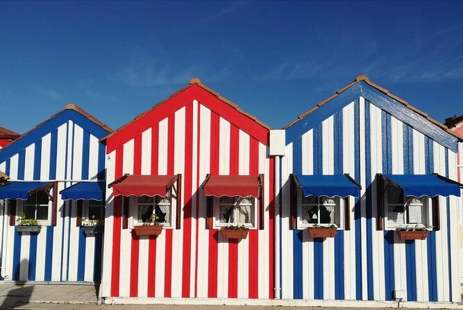 Aveiro and Coimbra from Porto with Moliceiro Boat Trip - What’s Included and What’s Not