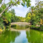 Aveiro: Gondola Ride and Costa Nova Beach  All Included. - Exploring Aveiro’s Historic Center