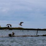 Aveiro: passeio de barco típico com degustação - 90 min - Who Will Enjoy This Tour?