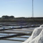 Aveiro: Walking Tour, Boat Cruise, Sweets & Church Entrance - Discovering Aveiro’s Charm: A Deep Dive into the Tour