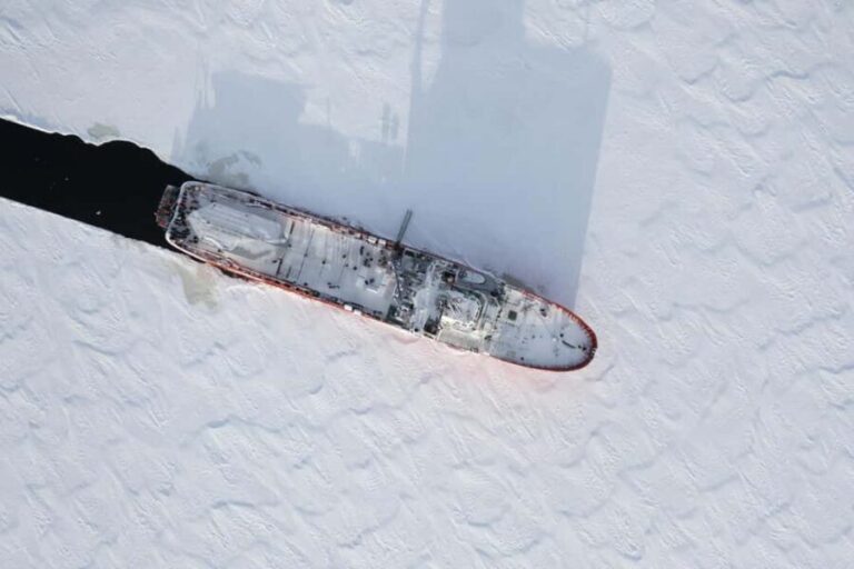 Axelsvik: Polar Explorer Arctic Icebreaker Morning Cruise - Deep Dive: Why This Tour Offers Exceptional Value