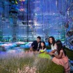 AYA Universe Entrance Tickets - What Is AYA Universe?