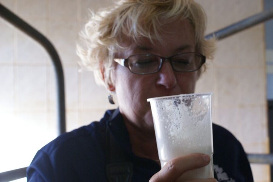 Azores: Day at the Farm with Traditional Lunch - Why This Tour Offers Great Value