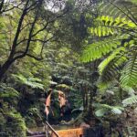Azores: Janela do Inferno, Caldeira Velha Guided Hiking Tour - Comparing with Similar Experiences