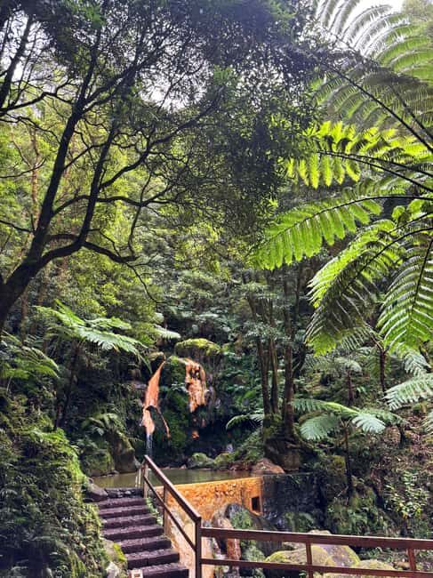 Azores: Janela do Inferno, Caldeira Velha Guided Hiking Tour - Comparing with Similar Experiences