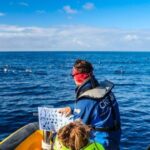 Azores Marine Birdwatching Expedition w/ Biologist Guide - Who Should Consider This Tour?