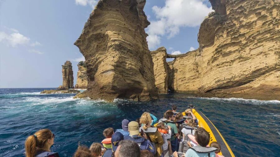 Azores: Whale Watching & Islet Boat Tour w/ Marine Biologist - Why This Tour Offers Great Value