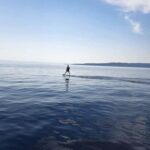 Baka Voda: Electric Surfboard Rental with Instructor - The Value of the Experience