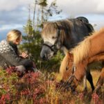 Bakvattnet: Pack horse trekking tour in Blomsterkogen - What’s Included and What to Bring