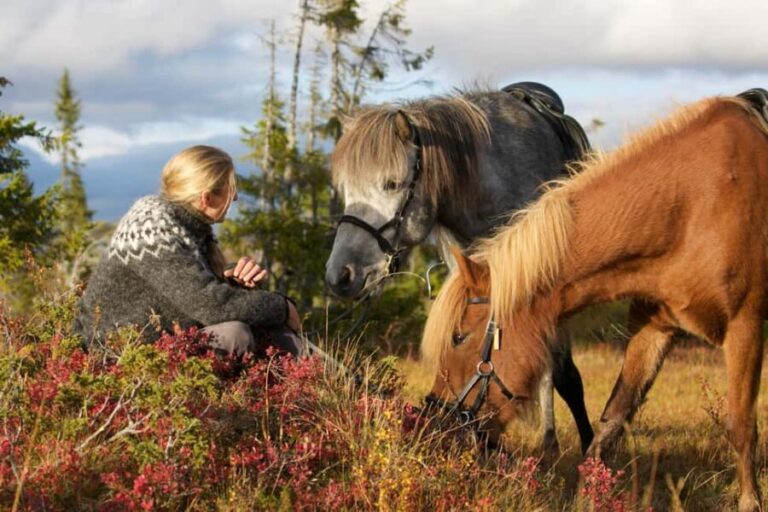 Bakvattnet: Pack horse trekking tour in Blomsterkogen - What’s Included and What to Bring