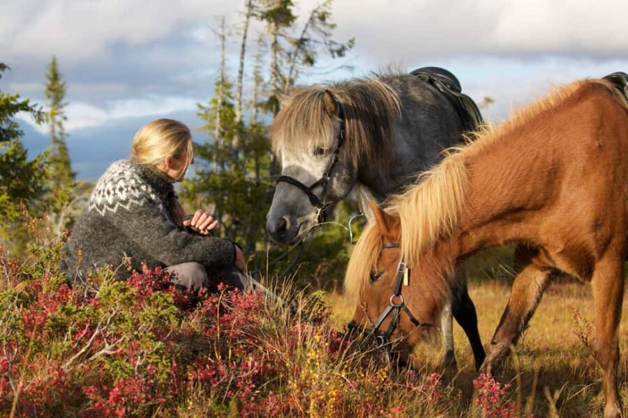 Bakvattnet: Pack horse trekking tour in Blomsterkogen - What’s Included and What to Bring
