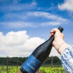 Balaton: Vineyard Tour and Wine Tasting with Zelna - The Experience in Detail