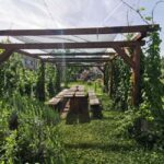 Bamberg: Beer & Brewery Tour - 2 Hour - English Or German - Why this tour is worth it