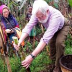 Banana beer brewery - Possible Drawbacks or Considerations