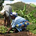Banana Juice Making at a Local Community - Final Thoughts