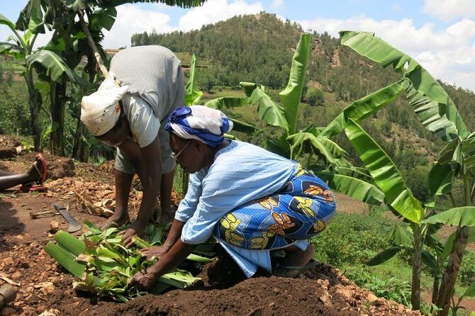 Banana Juice Making at a Local Community - Final Thoughts