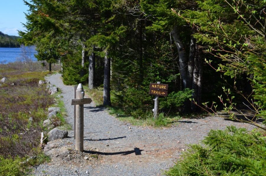 Bar Harbor: Acadia National Park Private Tour with Lunch - Touring the Highlights of Acadia