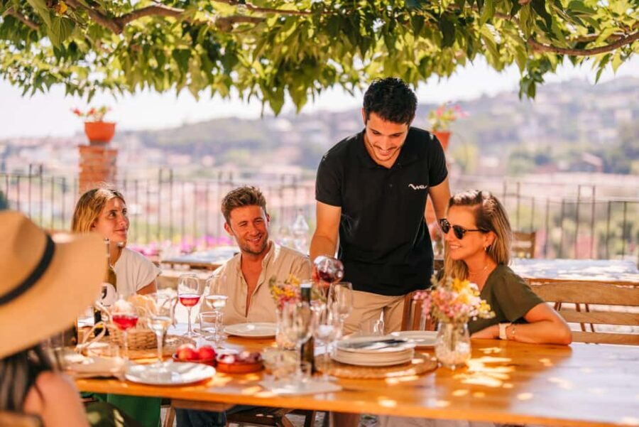 Barcelona: Alella Wine Tour with Tasting & Vineyard Picnic - What You Can Expect from the Alella Wine Tour