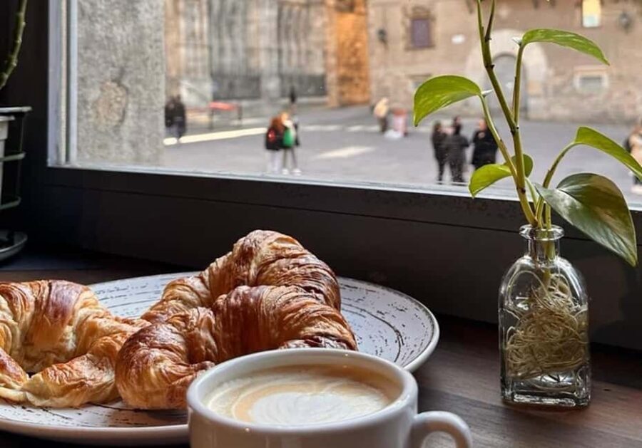 Barcelona Cathedral Early Access Tour with Breakfast - The Practicalities