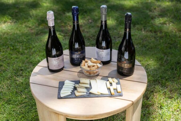 Barcelona: Cavas Hill - Winery Tour & Cheese Tasting - Practical Details & Considerations