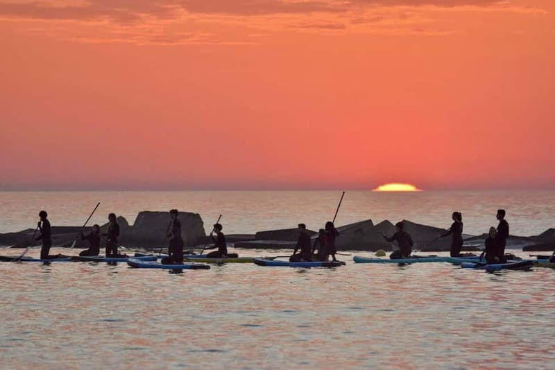 Barcelona: Paddleboarding at Sunrise. Includes: instructor, photos, equipment - What to Expect on the Sunrise Paddleboarding Tour