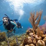 BARCELONA: SCUBA DIVING INITIATION - Dive in and experience underwater adventures - 2 hours - The Equipment & Facilities
