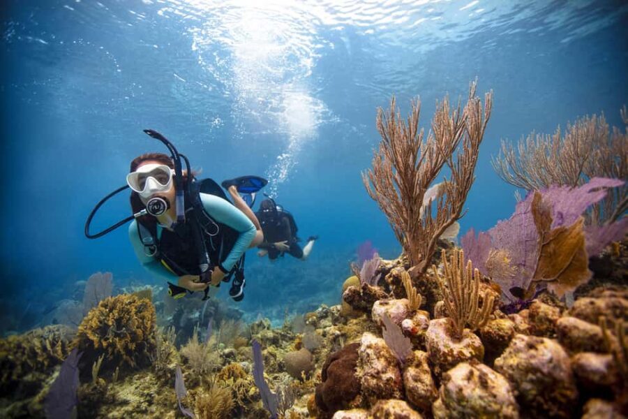 BARCELONA: SCUBA DIVING INITIATION - Dive in and experience underwater adventures - 2 hours - The Equipment & Facilities
