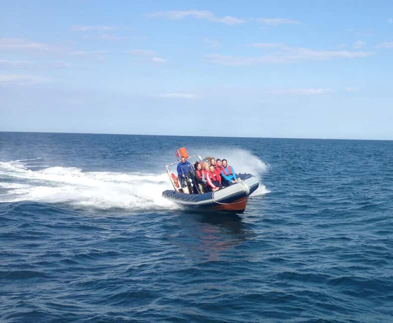 Barcelona: Speedboat Coastline Tour - Practical Details and Tips for Your Trip