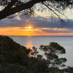 Barcelona: Tossa de Mar & Costa Brava very small group - What Makes This Tour Stand Out
