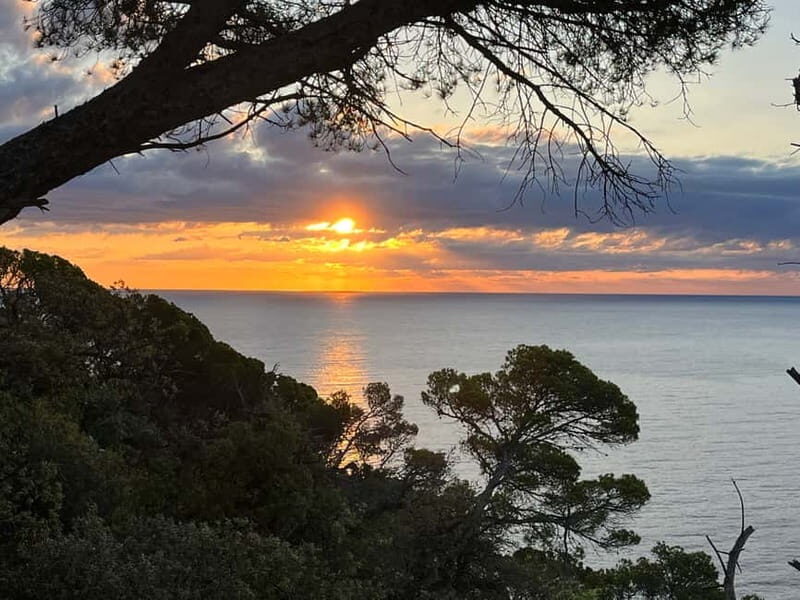 Barcelona: Tossa de Mar & Costa Brava very small group - What Makes This Tour Stand Out