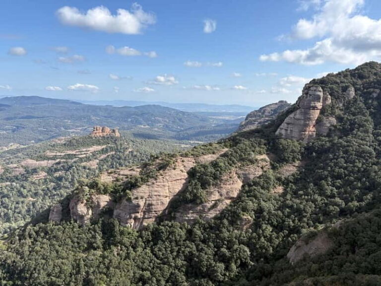 Barcelona walking tour through World Expos & Olympic Games - A Scenic Journey with a Historical Twist