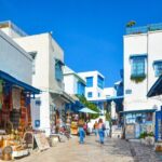 Bardo Museum with Medina, Carthage and Sidi Bou Private Tour - What Sets This Tour Apart