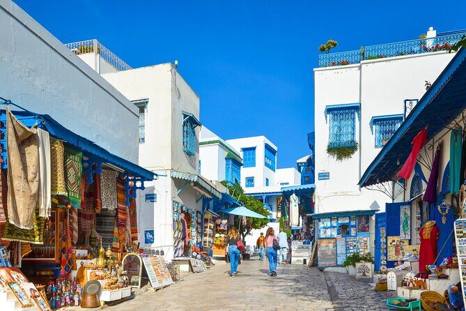 Bardo Museum with Medina, Carthage and Sidi Bou Private Tour - What Sets This Tour Apart