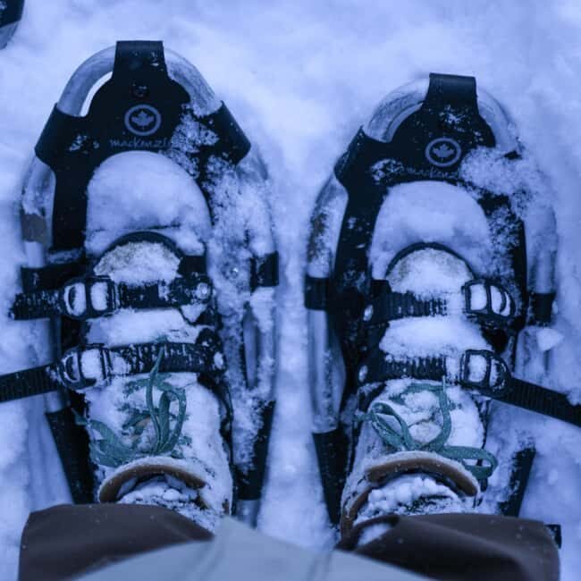 Bardufoss: Snowshoeing and Northern Lights Adventure - Why the Experience Offers Good Value