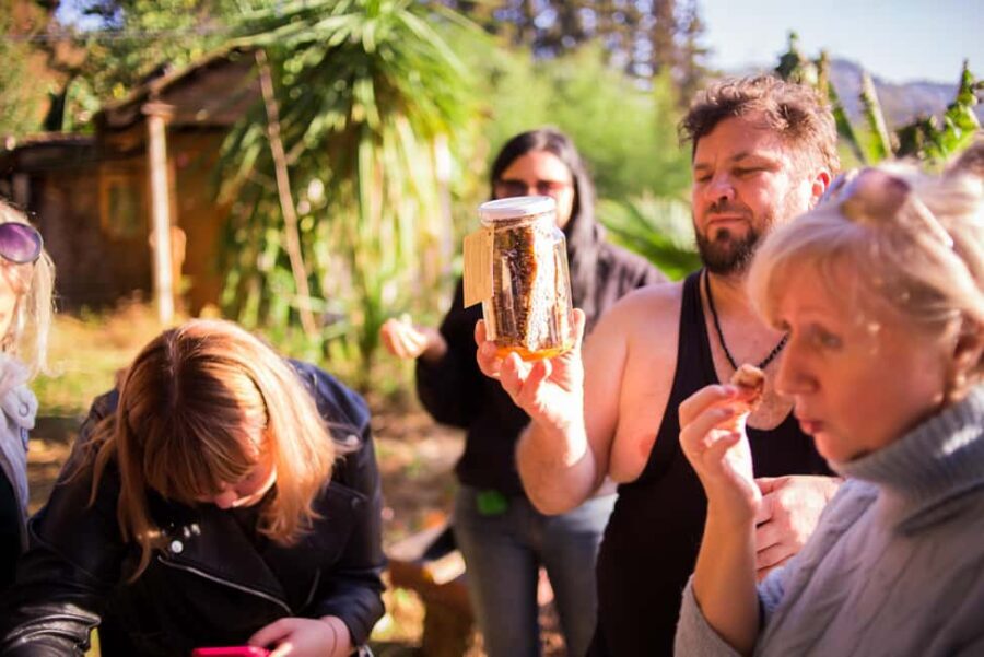 Batumi: Sweet Excursion and Mtirala Forest - An Introduction to Georgia’s Honey Heritage