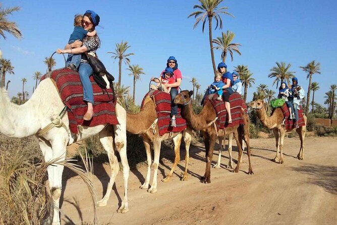 BBQ Sunset Camel Riding By the Flamingo River - Transportation and Group Size